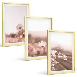 BILDER SET 3er Set - 40x60 cm Goldrahmen - Sommerlandschaften mit Wildblumenwiesen