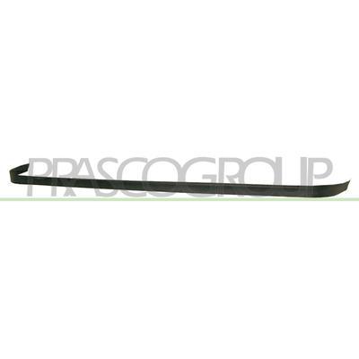 PRASCO Spoiler Premium rn3251801 vorne für RENAULT
