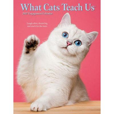 What Cats Teach Us 2027 6.5 X 8.5 Engagement Calendar