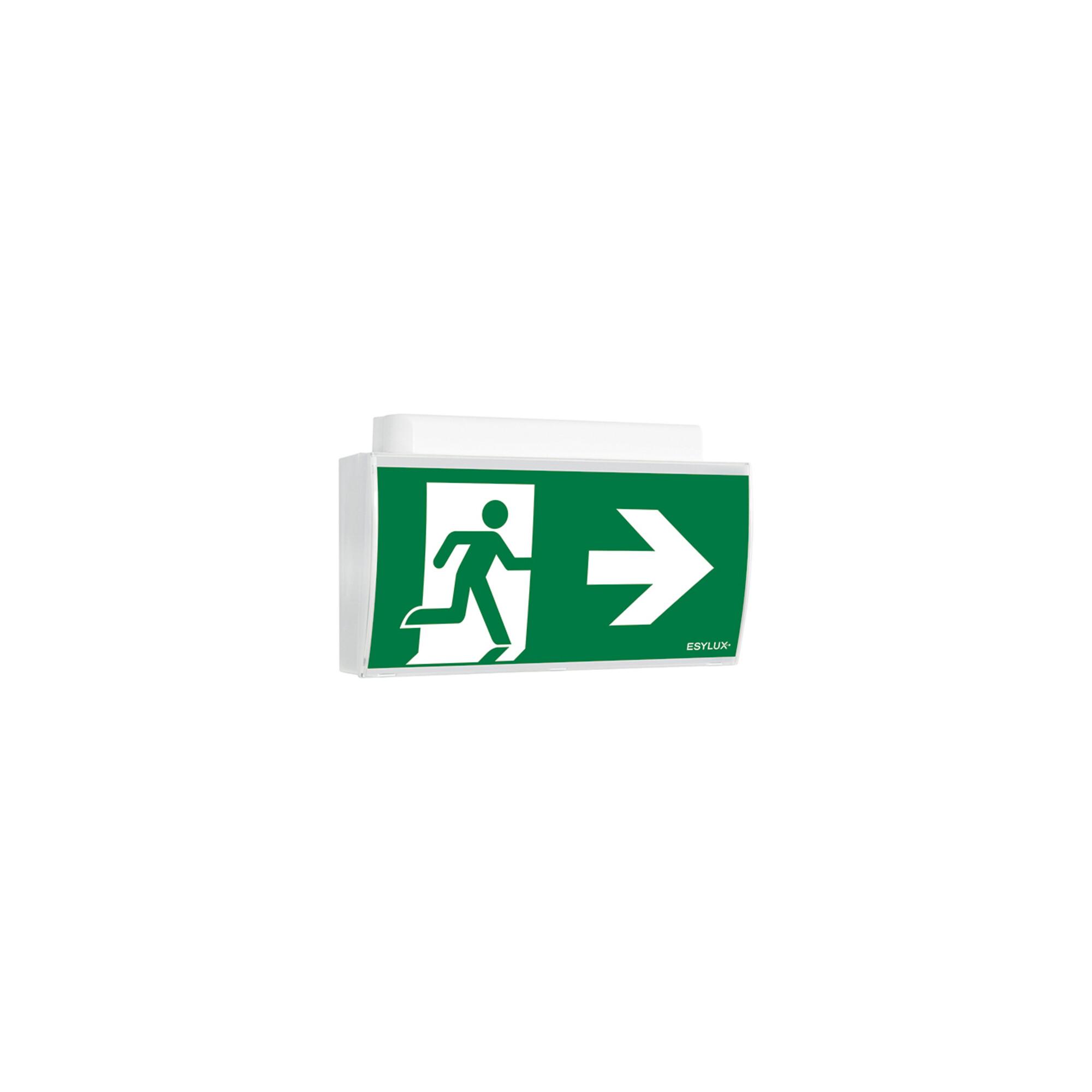 ESYLUX Notleuchte 24m EKW 4W SLE/SLFEL#EN10061806)