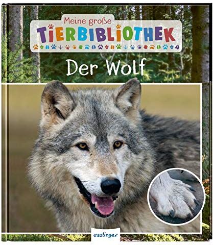 Christian Havard - Der Wolf (Meine große Tierbibliothek) - Preis vom 13.10.2026 19:28:25 h