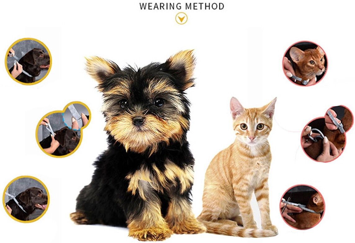 INF Beruhigungshalsband für Katzen 38 cm, 4er-Pack aus Kunststoff gegen Angst und Unruhe