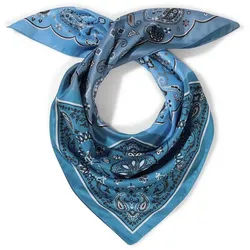 Tuch aus Twill Peter Hahn blau