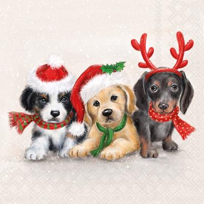 Ambiente 20 Servietten Papier 33x33cm 3-lagig - hochwertige Einweg Papierservietten mit Hundemotiv - Weihnachtswelpen mit Mütze Schal & Geweih Tischdeko