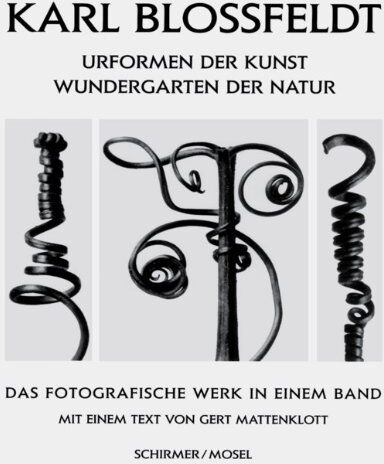 Karl Blossfeldt - Karl Blossfeldt Urformen der Kunst : Wundergarten der Natur - Preis vom 09.10.2026 07:28:09 h