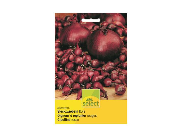 Select Steckzwiebeln Rot Winter 250 g