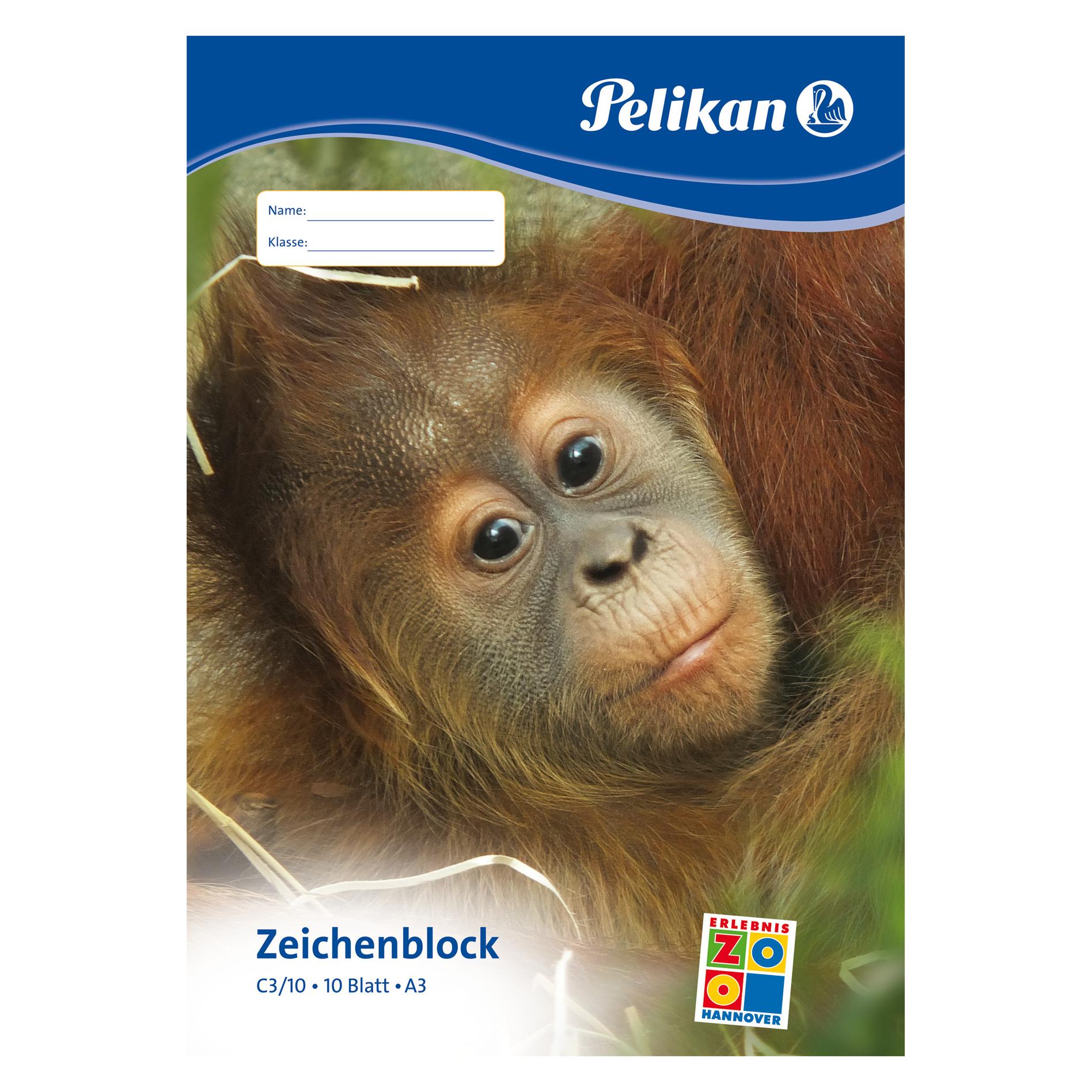 Pelikan 224832 Zeichenmappe Mehrfarbig Papier (A3) (224832)