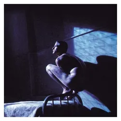 Virgin Records, Schallplatten, Birdy (Reissue Vinyl) (Peter Gabriel)
