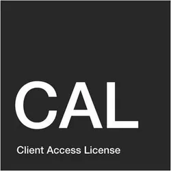 Microsoft Windows Remote Desktop Service CAL für Windows