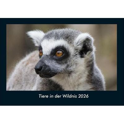Tiere in der Wildnis 2026 Fotokalender DIN A4