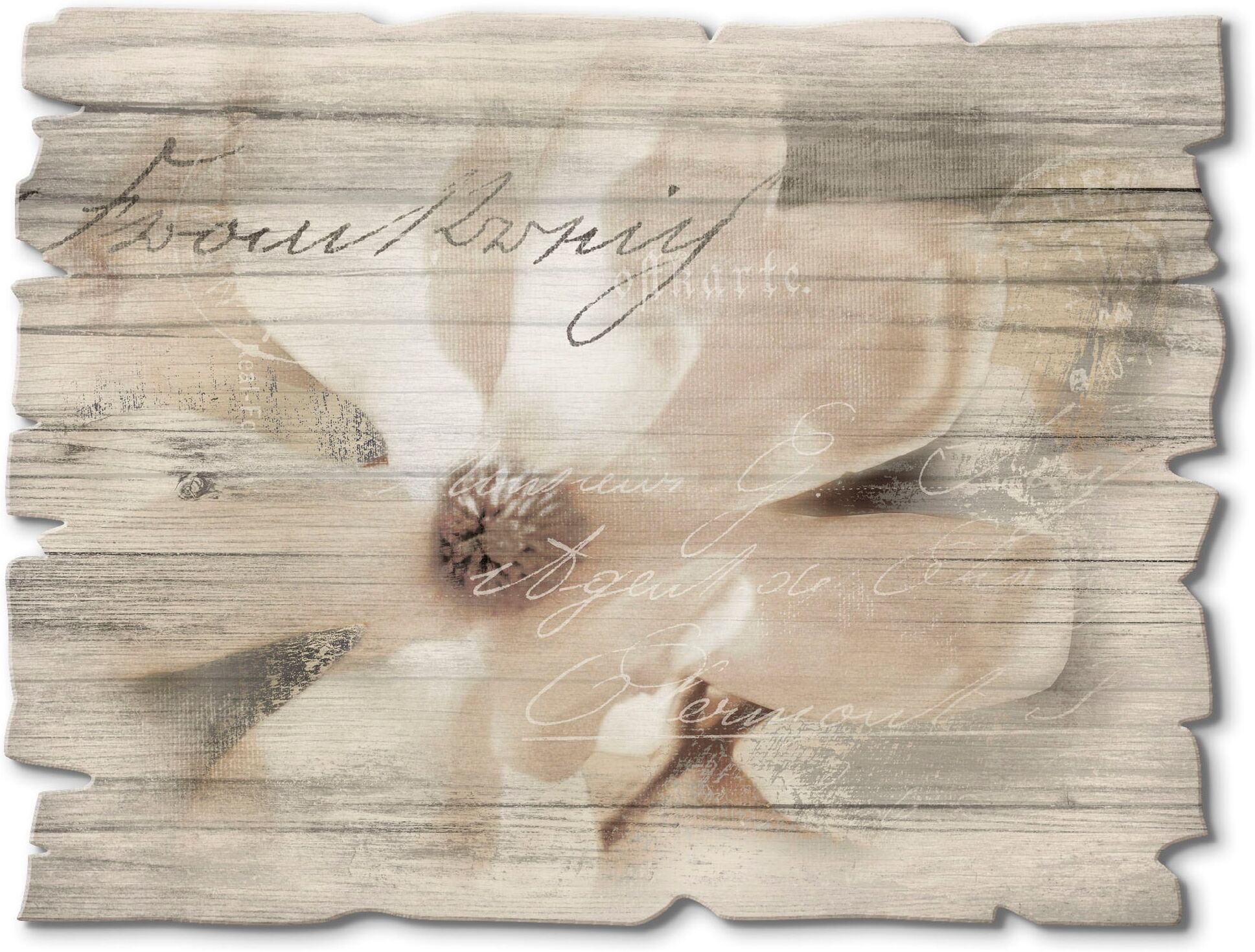 Holzbild ARTLAND "Magnolie_Detail", weiss (farbe bild(er): weiß), B:40cm H:30cm, Bilder, Holzbild farbe bild(er): weiß B/H/T: 40cm x 30cm, Holzbild Blumen Querformat, 1 Stk.