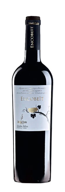 Sebastià Pastor Encobeït 2024 - 75cl