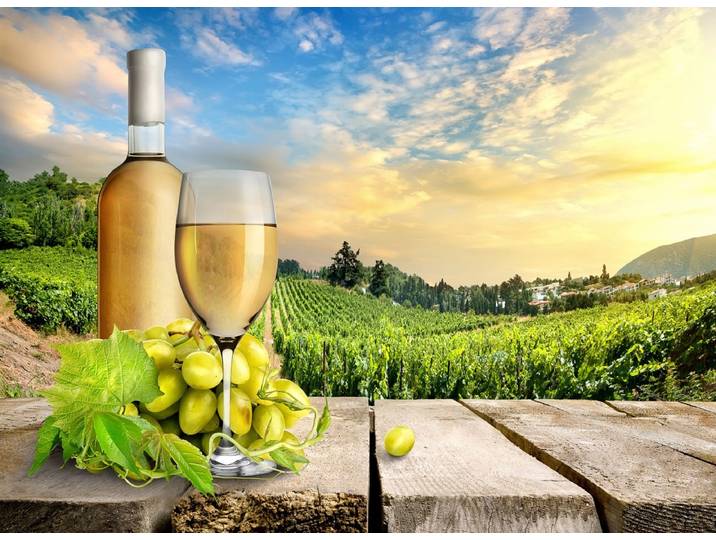 Fototapete PAPERMOON Wein mit Felder , bunt, B:2m L:1,49m, Vlies, Tapeten, Fototapete