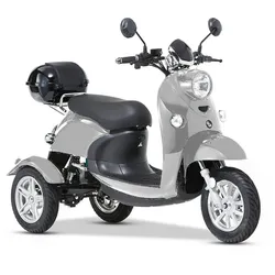 ENEWAY 3-Rad E-Mobil Modena II 25 km/h E-Trike ETrike Elektrofahrzeug Mobilitätsfahrzeug silber