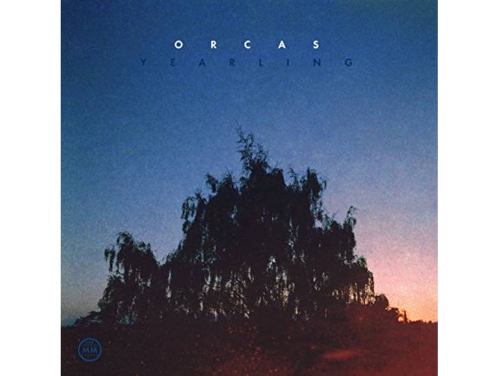Orcas - Yearling