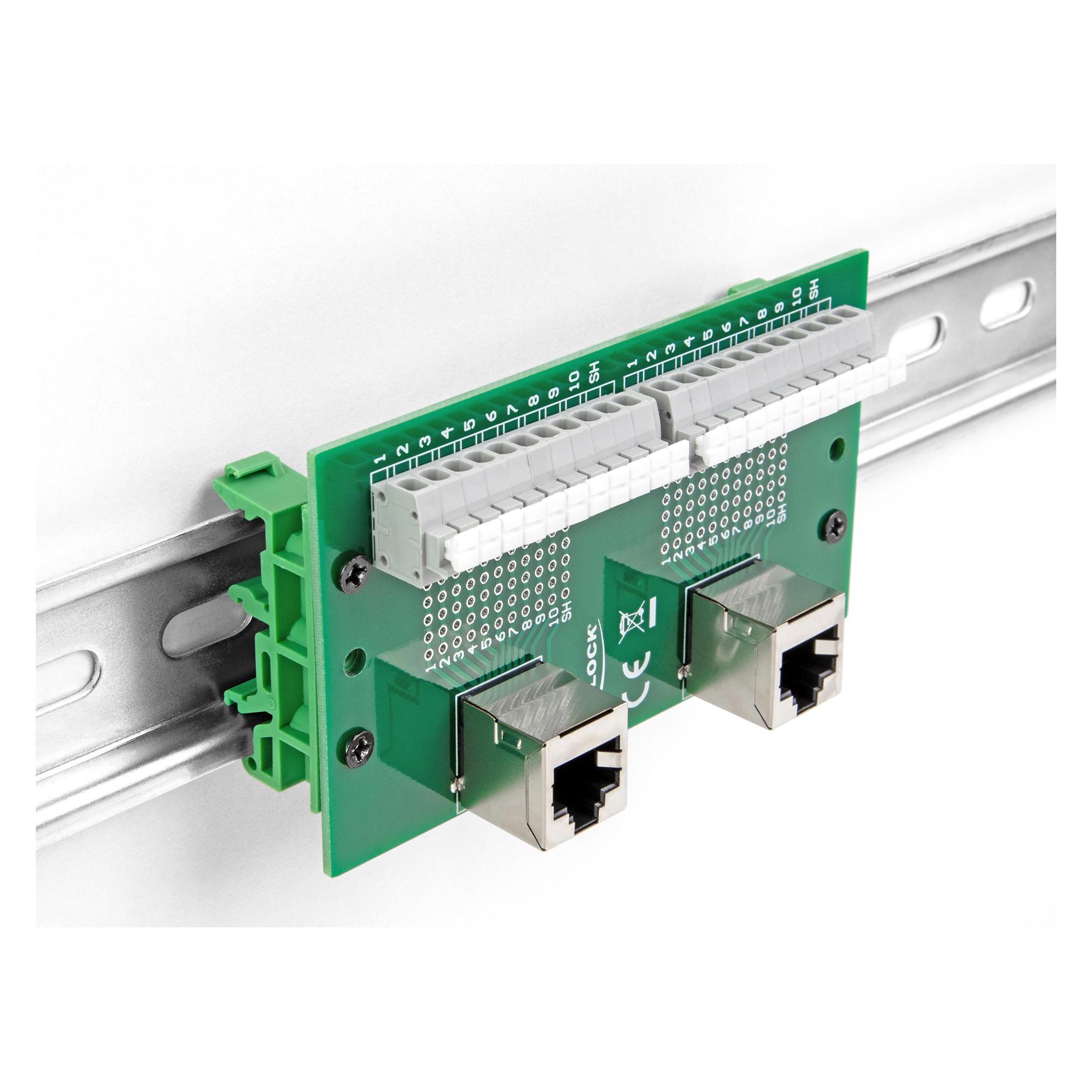 Delock RJ50 2 x Buchse zu 2 x Terminalblock mit Drucktaster für Hutschiene gewin (67015)