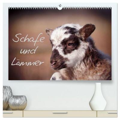 Schafe und Lämmer (hochwertiger Premium Wandkalender 2026 DIN A2 quer), Kunstdruck in Hochglanz