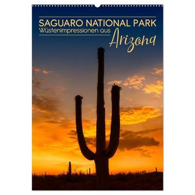SAGUARO NATIONAL PARK Wüstenimpressionen aus Arizona (Wandkalender 2027 DIN A2 hoch), CALVENDO Monatskalender