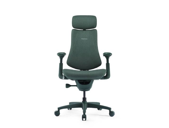 Ergonomischer Bürostuhl LIBERNOVO OMNI DYNAMIC Stoff grün