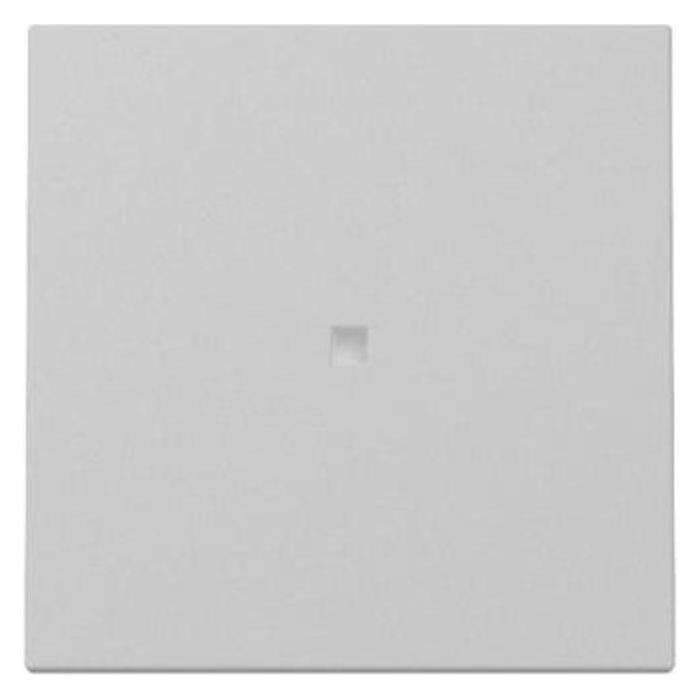 Gira Wippe Kontrollf. (3290015)
