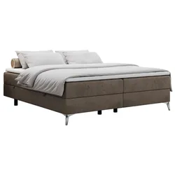 BOXBETT LESS 120/200 Braun Velvet - H3