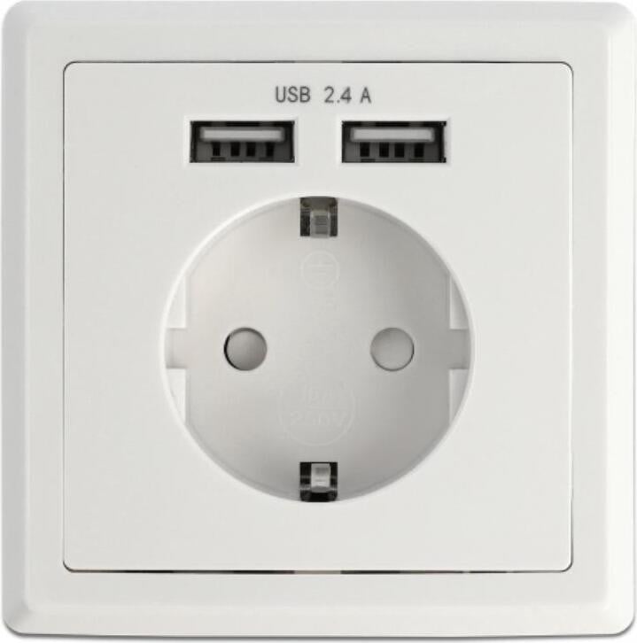 Delock Inbouwstopcontact met 2 USB-oplaadpoorten, 2,4 A