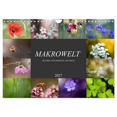 Makrowelt - Blumen und Insekten im Fokus (Wandkalender 2027 DIN A4 quer), CALVENDO Monatskalender