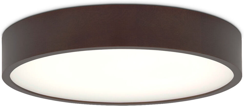 Brayden Studio Axsel Glass Flush Mount Venge 7.7cm H X 47.5cm W X 47.5cm D