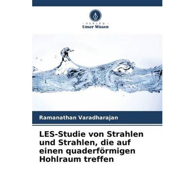 LES-Studie von Strahlen und Strahlen, die auf einen quaderförmigen Hohlraum treffen, Taschenbuch von Ramanathan Varadharajan, Verlag Unser Wissen,