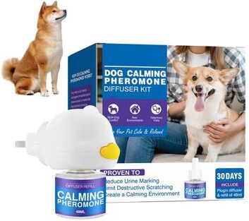 Uplifted Finds Long Lasting Pet Calming Pheromone Diffuser dog