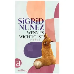 Wenn es wichtig ist, Belletristik von Sigrid Nunez
