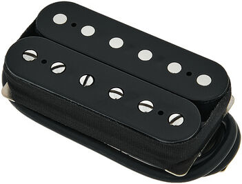 Lollar Monolith F-Spaced BR BK noir