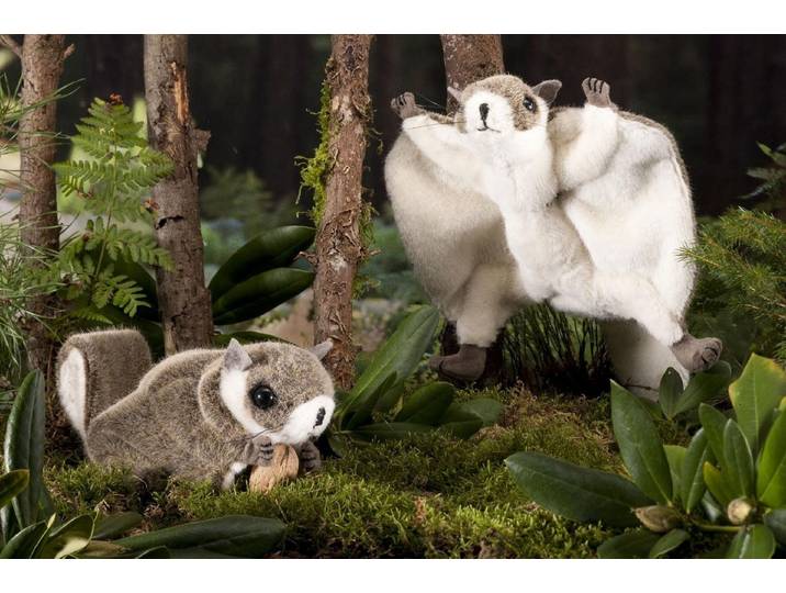 Teddys Rothenburg Kuscheltier Kösen Flughörnchen 35 cm graubraun Kuscheltier