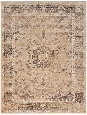 SAFAVIEH Agda Vintage Distressed Oriental Area Rug