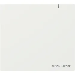 Busch-Jaeger System Access Point 3.0 SAP.13