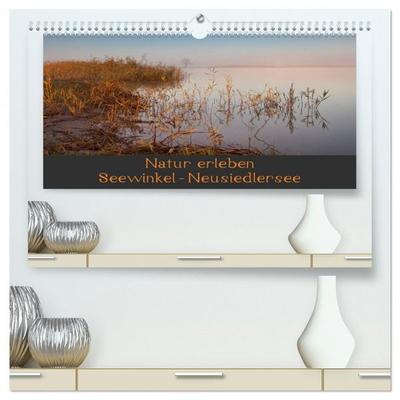 Natur erleben Seewinkel-Neusiedlersee (hochwertiger Premium Wandkalender 2026 DIN A2 quer), Kunstdruck in Hochglanz