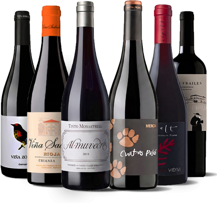 Wichtige spanische Weine I -