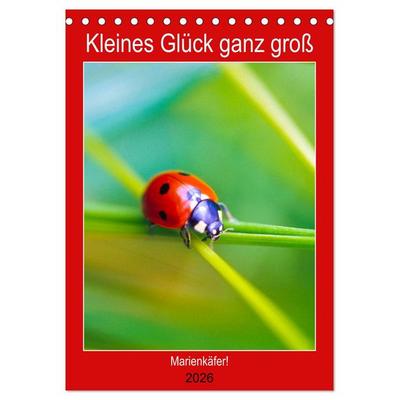 Kleines Glück ganz groß: Marienkäfer! (Tischkalender 2026 DIN A5 hoch), CALVENDO Monatskalender