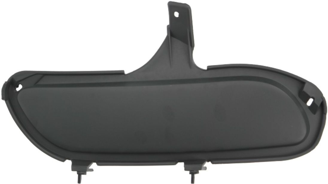 Gitter, Stoßfanger BLIC 5513-00-5536924P, Rechts