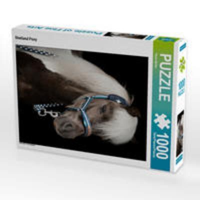 CALVENDO Puzzle Shetland Pony 1000 Teile Lege-Größe 48 x 64 cm Foto-Puzzle Bild von Paula Müller