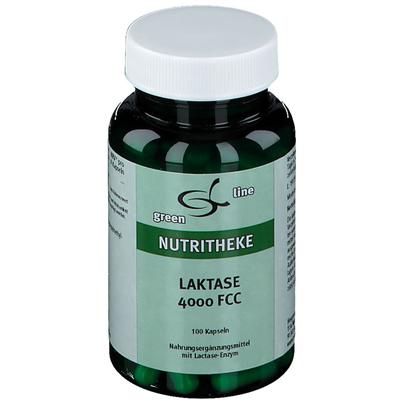 Laktase 4.000 FCC Kapseln 100 St