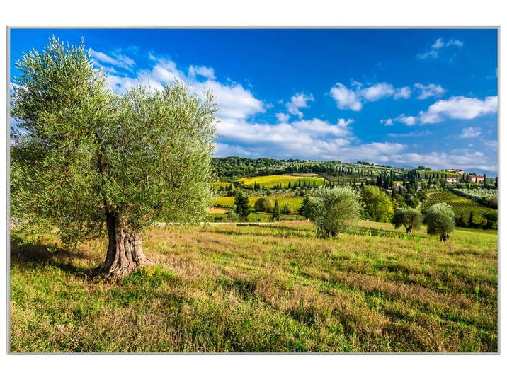 Bild mit Rahmen Hübsche Toskanische Landschaft image LAND