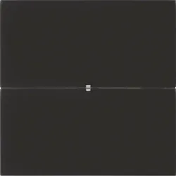 Berker Tastsensor 2-fach Glas schwarz 75162592