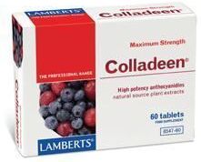Lamberts Colladeen 160 mg protects and repairs natural collagen 60