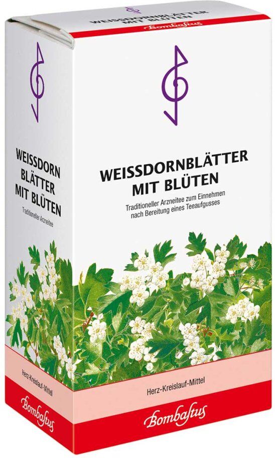 WEISSDORNBLÄTTER MIT BLÜTEN BOMBASTUS