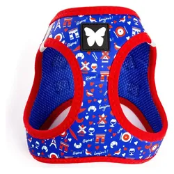Martin Sellier Hunde-Geschirr aus Mesh (S, Hund, Spazieren), Halsband + Leine