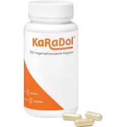Karadol Kapseln Magensaftresistent 120 ST