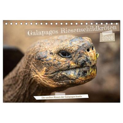 Die Riesenschildkröten der Galapagos Inseln (Tischkalender 2026 DIN A5 quer), CALVENDO Monatskalender