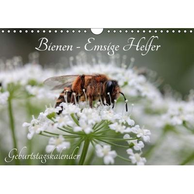 Bienen - Emsige Helfer (Wandkalender immerwährend DIN A4 quer)