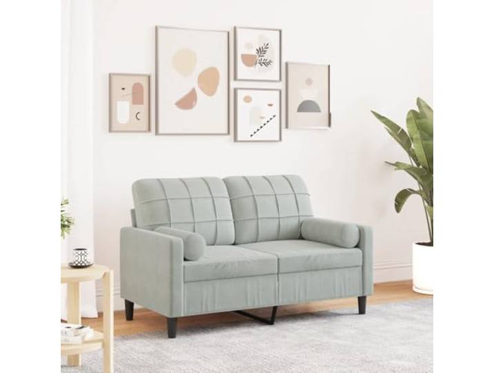 HEFZGDB 2-Sitzer Sofa Hellgrau 120 cm Samt mit Zierkissen, Bequemes Sitzmöbel für Wohnzimmer, Robustes Metallgestell, Abnehmbare Bezüge, Weiche Polsterung, Modernes Design Sofa